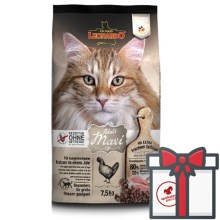 Leonardo Adult Maxi GF 7,5 kg Leonardo Adult Maxi GF 7,5 kg