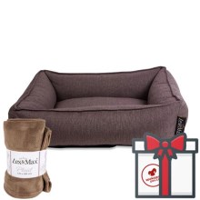 Lex&Max pelech pre psa Paris čokoládový 80 cm