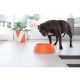 LickiMat Oh Bowl Dog spomaľovacia miska zelená veľ. S