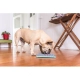 LickiMat Tuff Soother lízacia podložka tyrkysová 20 cm