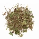 Limara bylinná zmes Herbs z lesa 50 g