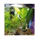 Lucky Reptile Nano Clean 210 l/h