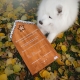 Mapes adventný kalendár 280 g