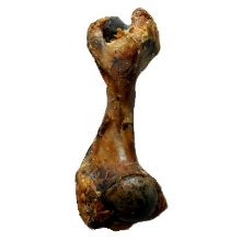 Mapes bravčová kosť nebalená 1 ks