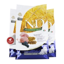 N&D Ancestral Grain Dog Puppy M/L Lamb & Blueberry 12 kg