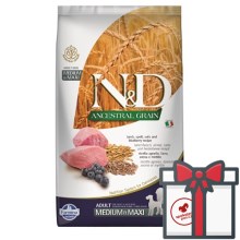 N&D Low Grain Dog Adult M/L Lamb & Blueberry 12 kg N&D Low Grain Dog Adult M/L Lamb & Blueberry 12 kg