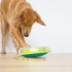 Nina Ottosson hlavolam pre psy Wobble Bowl 28,5 cm