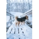 Non-stop oblečok Wool Dog Jacket 45 cm