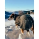 Non-stop oblečok Wool Dog Jacket 55 cm