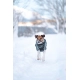 Non-stop oblečok Wool Dog Jacket 65 cm