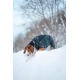Non-stop oblečok Wool Dog Jacket 65 cm