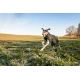 Non-stop oblečok Wool Dog Jacket 65 cm