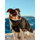 Non-stop oblečok Wool Dog Jacket 65 cm