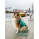 Non-stop plávacia vesta Protector veľ. 6 teal