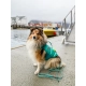 Non-stop plávacia vesta Protector veľ. 6 teal