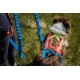 Non-stop vodítko Bungee modré 2 m