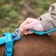 Non-stop vodítko Trekking Rope Leash Teal 1,2 m