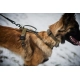 Non-stop Working Dog postroj Line Grip veľ. 5