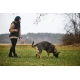 Non-stop Working Dog postroj Line Grip veľ. 6