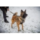 Non-stop Working Dog postroj Line Grip veľ. 7