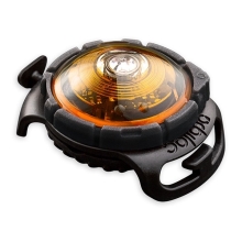 Orbiloc LED svetlo na obojok žlté