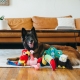 P.L.A.Y. darčekový set hračiek pre psy "Fetching Flock" 35 cm