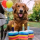 P.L.A.Y. hračka pre psy narodeninová torta 16 cm