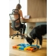 Pawzler Rainbow hlavolam pre psy 24 cm
