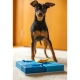 Pawzler Rainbow hlavolam pre psy 24 cm