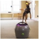 PetSafe automatický vrhač loptičiek