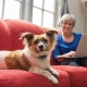 PetSafe Lite elektronický obojok pre citlivých psov 100 m
