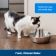 PetSafe Seaside nerezová fontána pre malé psy a mačky 1,8 l