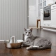 PetSafe Seaside nerezová fontána pre malé psy a mačky 1,8 l