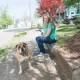 PetSafe Standard elektronický obojok 600 m