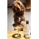 Posh Pooch Barker Bay víno pre psov 250 ml