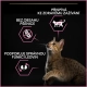 Pro Plan Cat Adult Delicate Digestion Turkey 3 kg