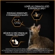 Pro Plan Cat Adult Derma Care Salmon 3 kg