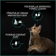 Pro Plan Cat Sterilised Renal Plus Turkey 10+2 kg ZADARMO