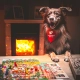 PSINA, stolná hra pre majiteľov aj psov