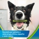 Purina DentaLife ActiveFresh Small 7 ks