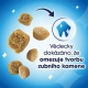 Purina DentaLife Cat losos 40 g