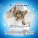Purina DentaLife Cat losos 40 g