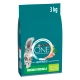 Purina One Bifensis Indoor s morčacím 3 kg