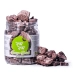 Raw Raw maškrty mrazom sušené jahňacie pľúca 50 g