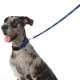 Rogz Fancy Dress Classic obojok Navy Paw veľ. L