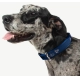 Rogz Fancy Dress Classic obojok Navy Paw veľ. L