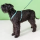 Rogz Fancy Dress Classic postroj Mint Dog veľ. M