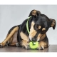 Rogz Fred Treat plniaca loptička pre psy červená 6,4 cm