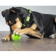 Rogz Fred Treat plniaca loptička pre psy zelená 6,4 cm