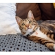 Rogz Urban Cat Safety obojok pre mačku Olive Twist veľ. S